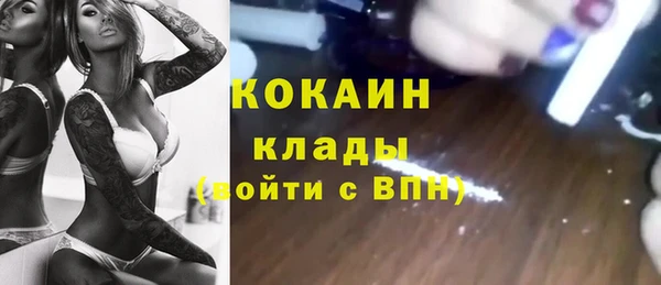 сатива Алексин