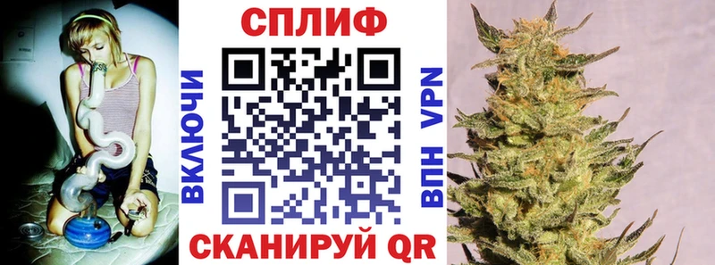 магазин продажи наркотиков  Хадыженск  Канабис план 
